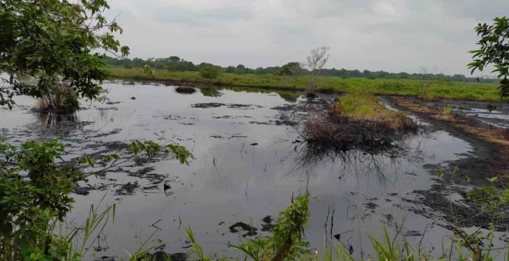 Denuncian vigencia de derrame de hidrocarburos en ranchería de Huimanguillo