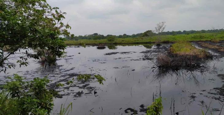 Denuncian vigencia de derrame de hidrocarburos en ranchería de Huimanguillo