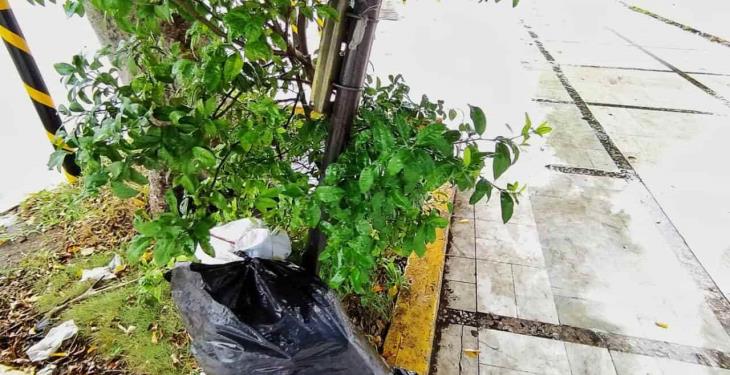 Abundan botes de basura deteriorados en la vía pública de Villahermosa