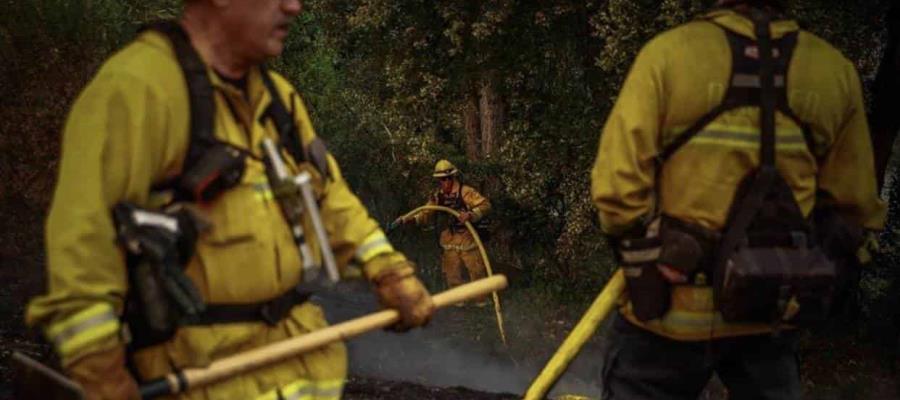 California pide ayuda internacional para controlar incendios California pide ayuda internacional para controlar incendios
