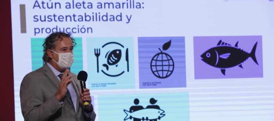 Desestima INAPESCA estudio de la UNAM que supuestamente detectó carne de delfín en latas de atún en México