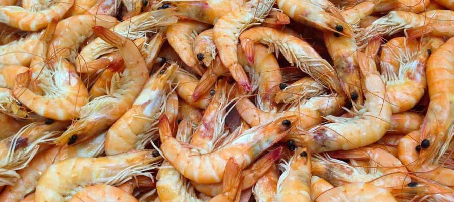 Garantizan que camarón mexicano está libre de coronavirus, tras presentarse caso con exportaciones ecuatorianas