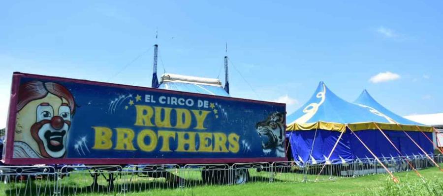 Pide Inai a Semarnat informe sobre el destino de los animales retirados de circos Pide Inai a Semarnat informe sobre el destino de los animales retirados de circos