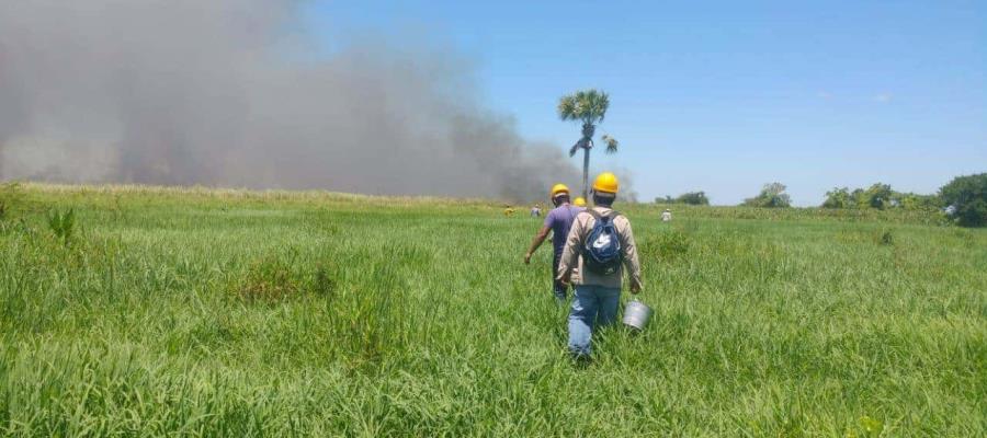 Contienen incendio frente a la Reserva de la Biosfera Pantanos de Centla Contienen incendio frente a la Reserva de la Biosfera Pantanos de Centla