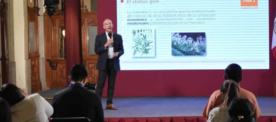 Por encima de la discusión que se tiene sobre el cannabis en México, se debe saber que esta genera problemas psiquiátricos: CONADIC