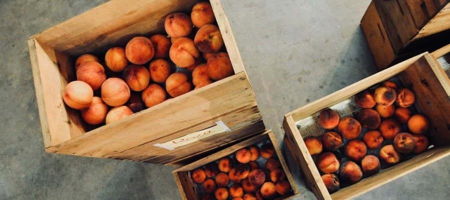 Inicia COFEPRIS investigación por posible brote de salmonelosis asociada al consumo de durazno