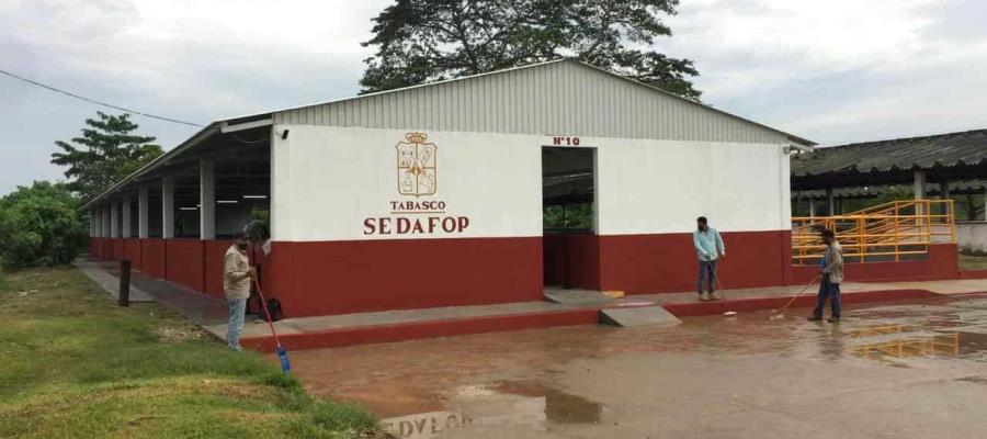 Interpone Sedafop cinco denuncias por robo de animales en el CECAREM