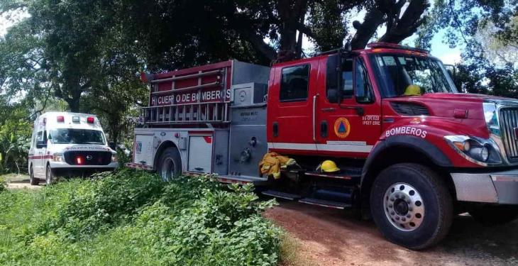 Fallece persona por ataque de abejas africanizadas en Gaviotas Sur; 50 personas fueron evacuadas
