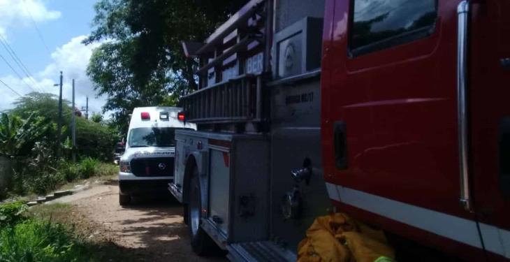 Fallece persona por ataque de abejas africanizadas en Gaviotas Sur; 50 personas fueron evacuadas