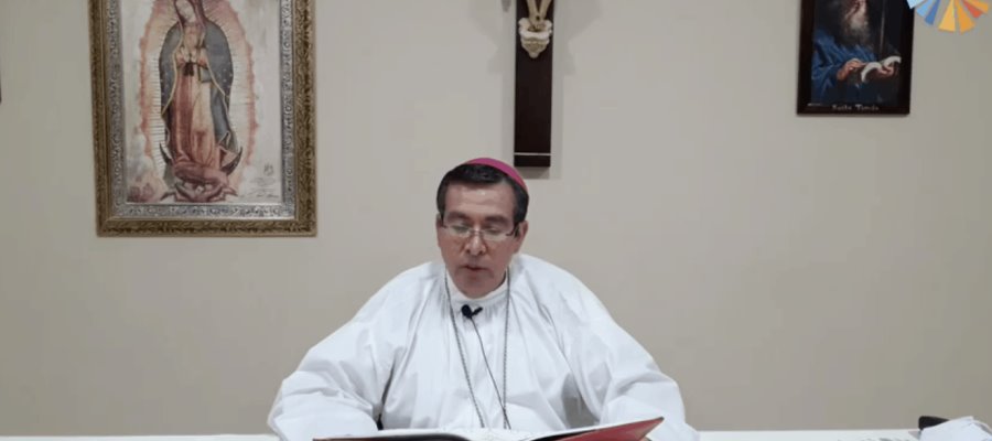 Dios necesita trabajadores de su viñedo con actitud de siervos: Obispo