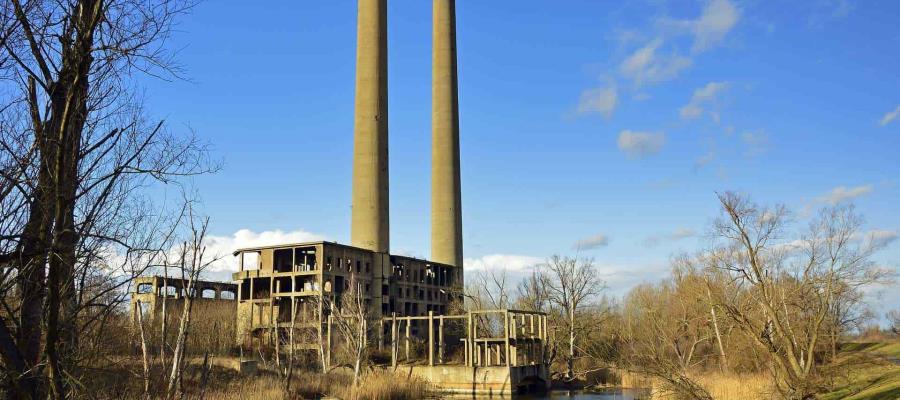 Es probable que un nuevo virus proveniente de los animales infecte a humanos debido a la reducción de espacios naturales: OMS Es probable que un nuevo virus proveniente de los animales infecte a humanos debido a la reducción de espacios naturales: OMS