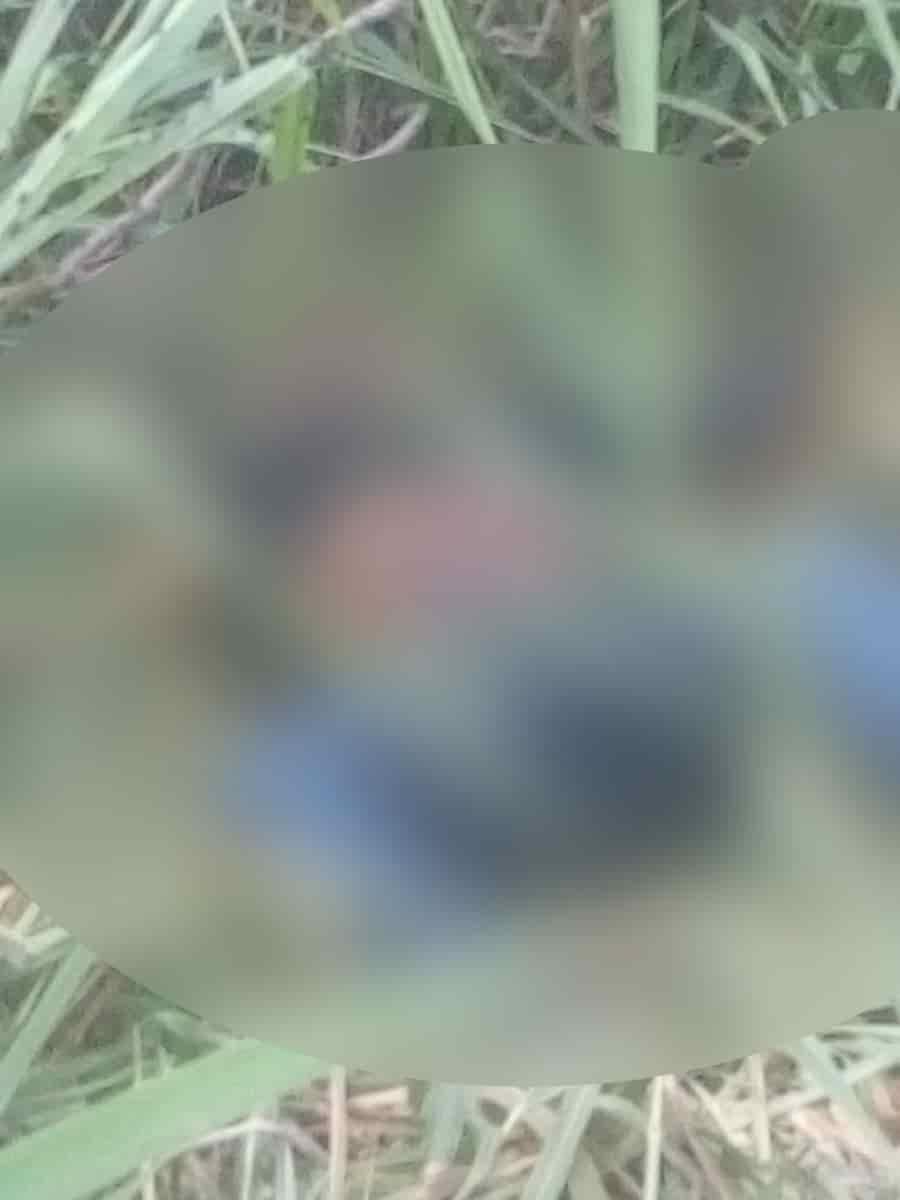 Localizan cuerpo de un hombre en estado de descomposición en avenida Bicentenario