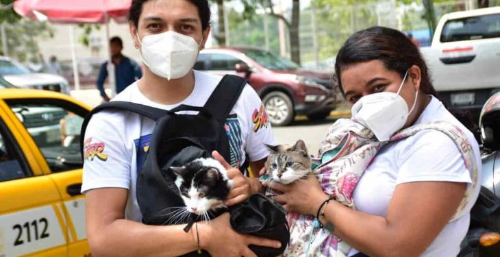 Acuden de manera responsable a vacunar a sus perros y gatos