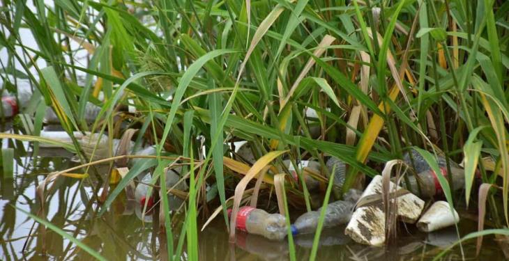 Margen del río Grijalva registra una gran cantidad de basura, hay hasta jeringas usadas