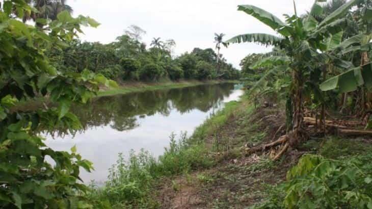 Anuncia Adán Augusto López rescate de los camellones chontales; iniciará en enero  