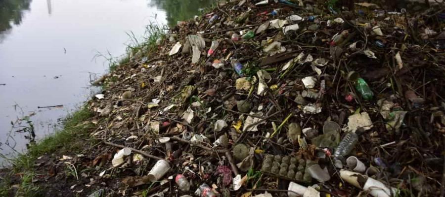 Ambientalistas ponen en marcha brigada de limpieza del Vaso Cencali