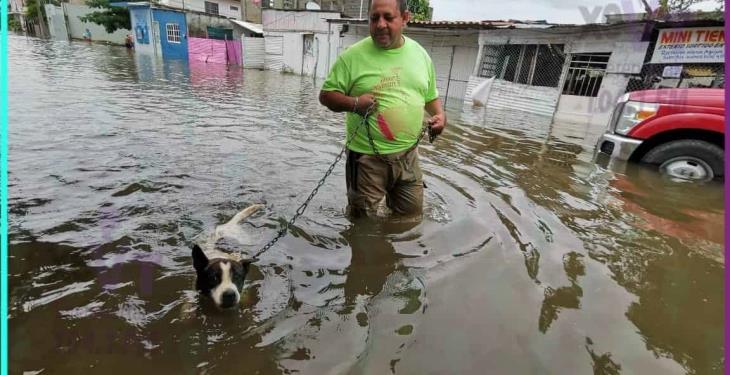 Lluvias mantienen anegada la col. Gaviotas Sur, Sector Valle Verde
