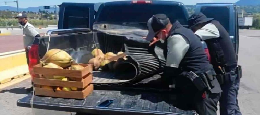 Detiene Guardia Nacional a dos hombres que transportaban mariguana, oculta en una camioneta en el Estado de México