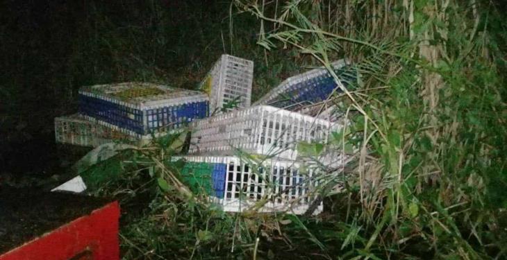 Roban camión cargado de Pollos en la ranchería González; detienen a presunto asaltante