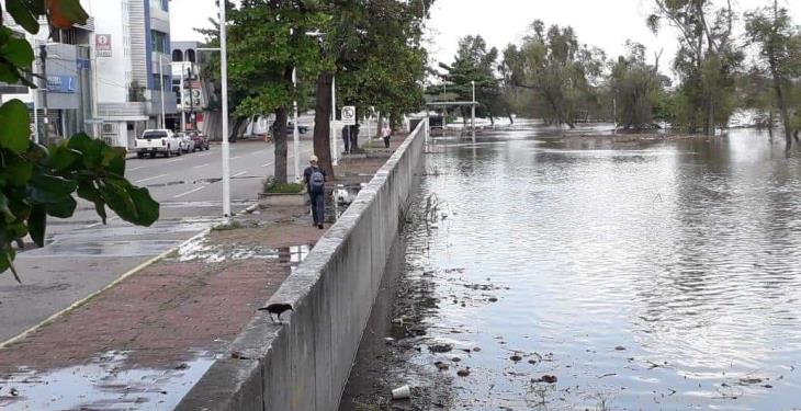 Hormigas habrían causado filtraciones en el muro de contención del malecón: PC