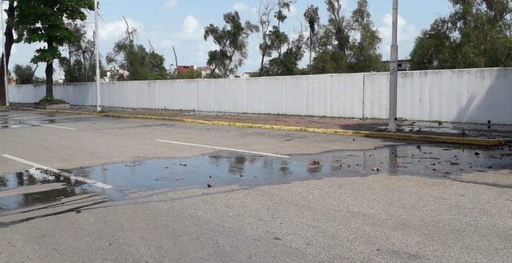 Hormigas habrían causado filtraciones en el muro de contención del malecón: PC