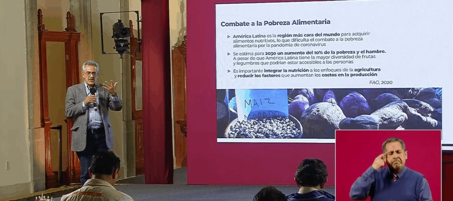 Incidencia delictiva no ha sido obstáculo para “Sembrando Vida”: Bienestar