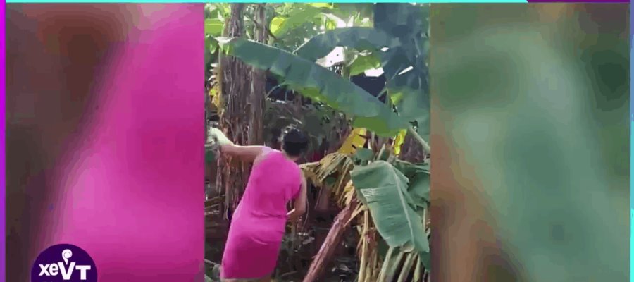 Familias de Nacajuca demandan al Ayuntamiento los contemplen en el censo del Bienestar