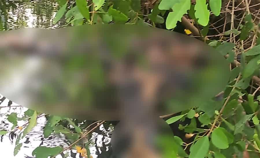 Hallan cuerpo en descomposición en una laguna en Huimanguillo