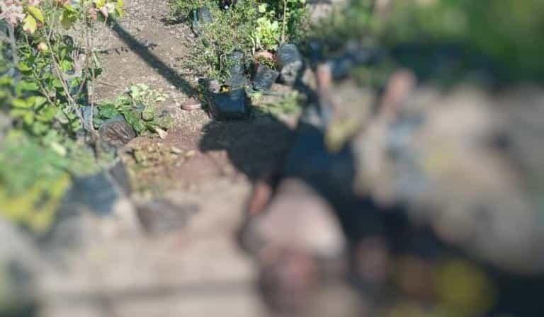 Localizan sin vida y con huellas de violencia a sujeto en vivero en la Villahermosa-Frontera