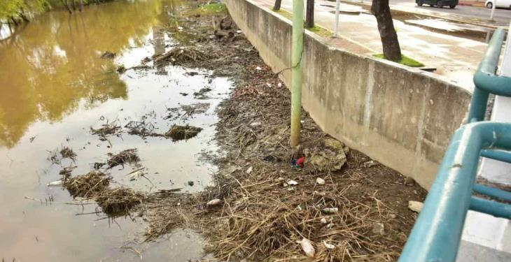 Desciende nivel de aguas del río Grijalva; ya se ve tierra de nuevo