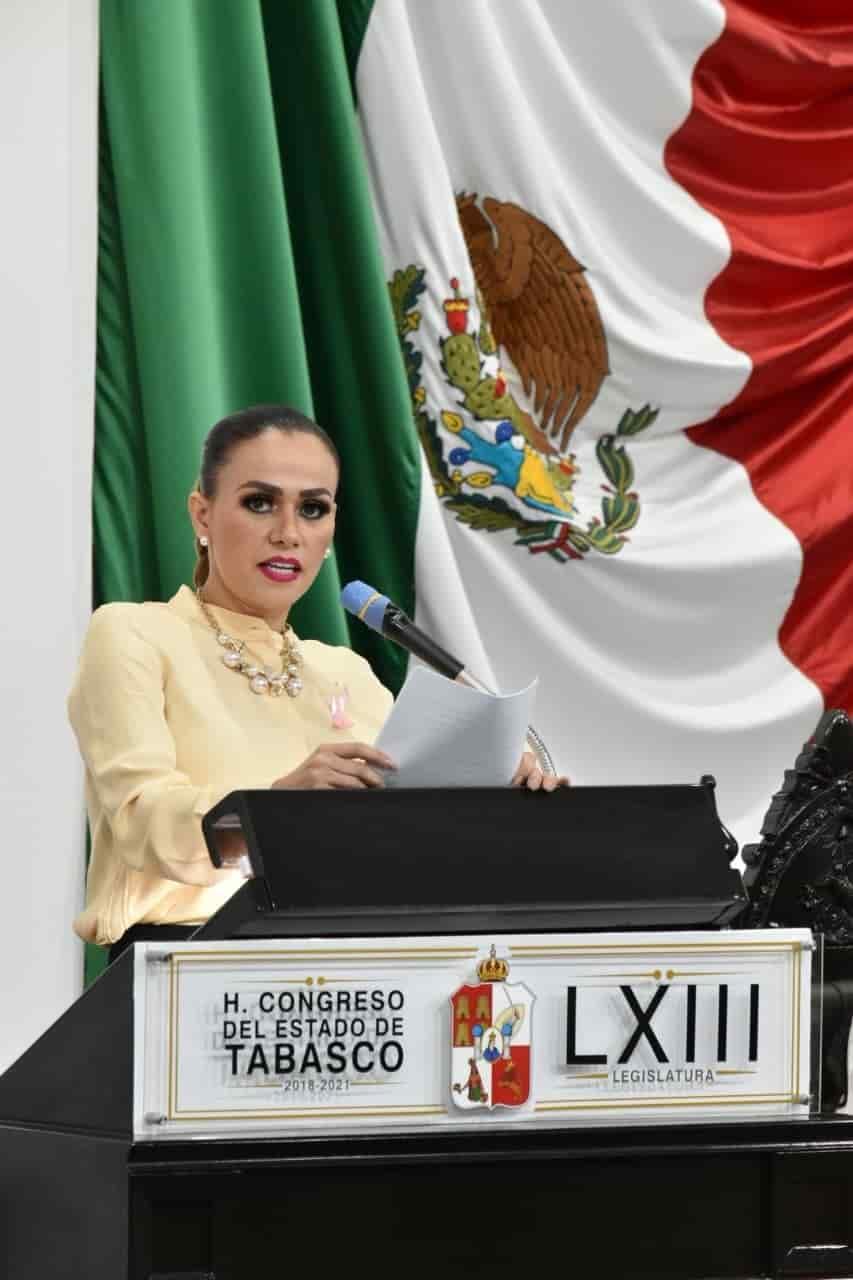 Plantea diputada de Morena iniciativa para proteger la vida desde su concepción