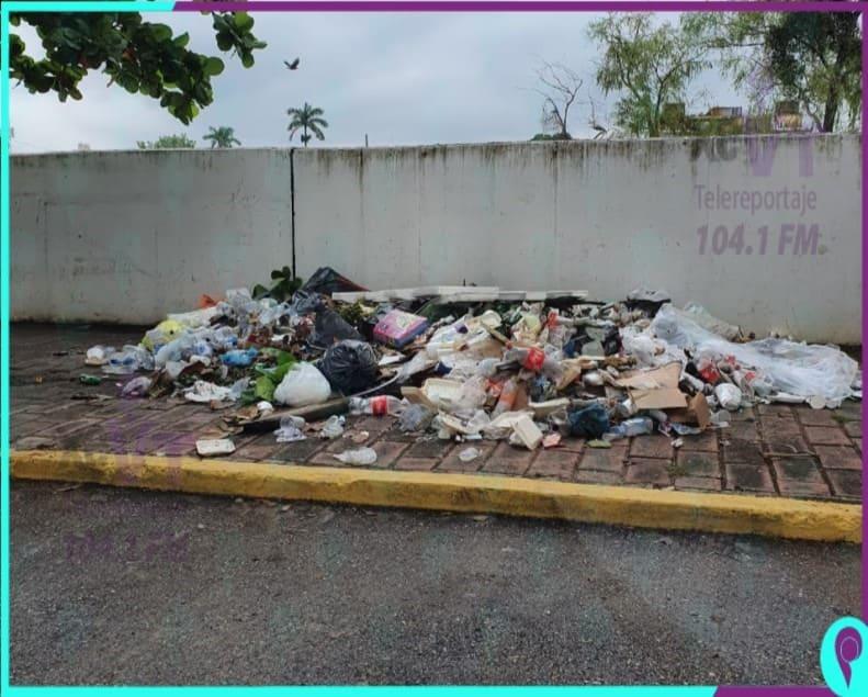 Lamenta CEAS falta de consciencia ciudadana para no arrojar basura a la calle 