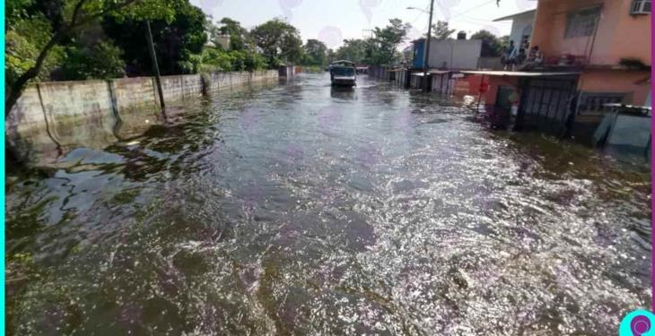Fotogalería| Sufre Gaviotas Sur, sector Armenia, inundaciones por el río Grijalva