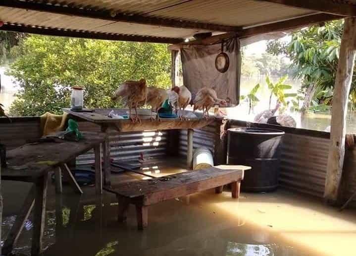 Solicitan damnificados por apoyo y baños portátiles ante afectaciones por inundaciones Solicitan damnificados por apoyo y baños portátiles ante afectaciones por inundaciones