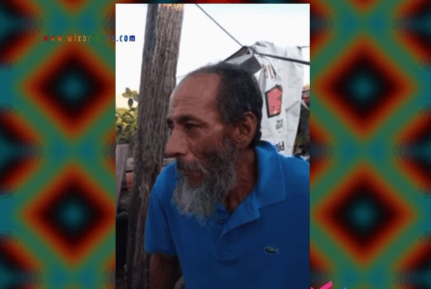 Mueren 17 perros en refugio, tras donación de comida envenenada