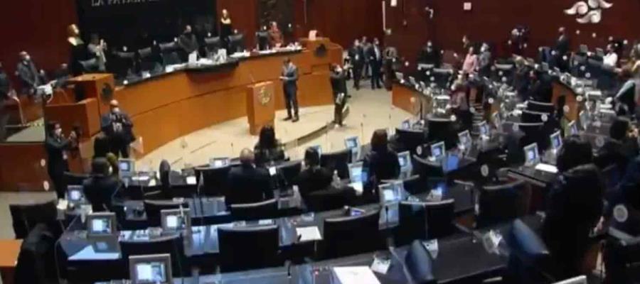 Llegan al Senado nombramientos de embajadores y cónsul propuestos por el presidente