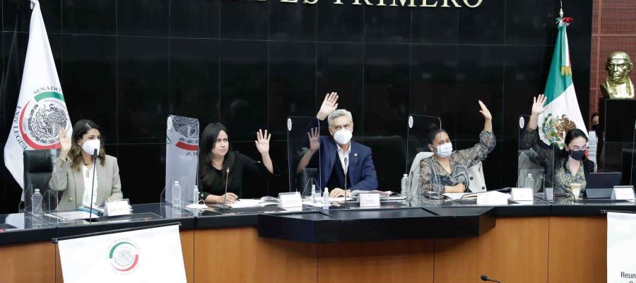 Aprueba el Senado modificaciones a la Constitución en materia de Poder Judicial y la envía a la Cámara de Diputados Aprueba el Senado modificaciones a la Constitución en materia de Poder Judicial y la envía a la Cámara de Diputados