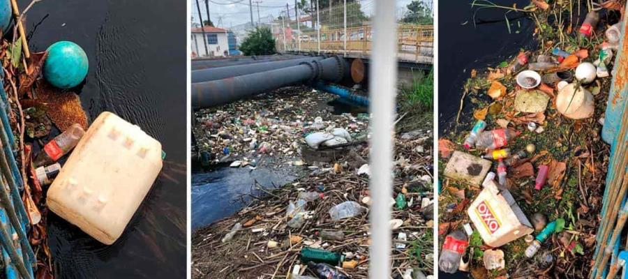 Bidones de diésel, cadáveres de cerdo y 9 toneladas de basura más, dañan estación de bombeo Puente Pedrero