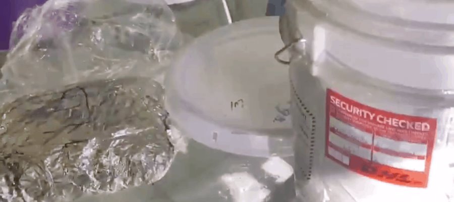 Aseguran aparente marihuana oculta en cubetas de semillas de calabaza en Nuevo León