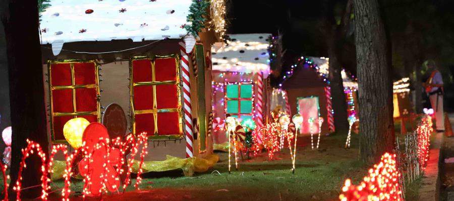 Más de 25 mil luces adornan la avenida La Choca Más de 25 mil luces adornan la avenida La Choca