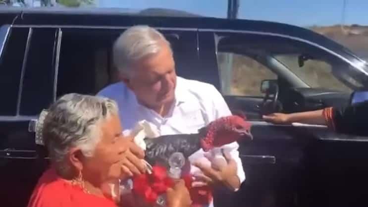 “Indulta” López Obrador a pavo que le regalaron en Oaxaca “Indulta” López Obrador a pavo que le regalaron en Oaxaca