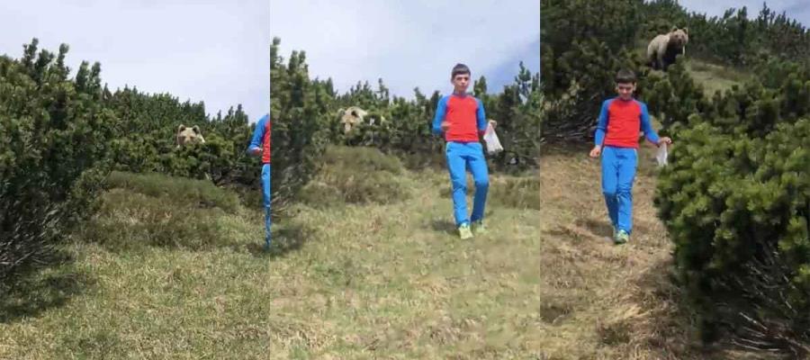 En Italia, niño de 12 años es perseguido por un gran oso pardo