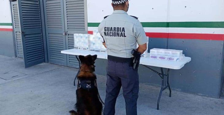 Asegura GN más de mil 300 ampolletas de fentanilo en Querétaro Asegura GN más de mil 300 ampolletas de fentanilo en Querétaro