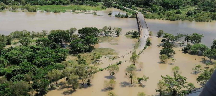Advierte CINAM que la pérdida de especies será recurrente… ante cambio climático Advierte CINAM que la pérdida de especies será recurrente… ante cambio climático