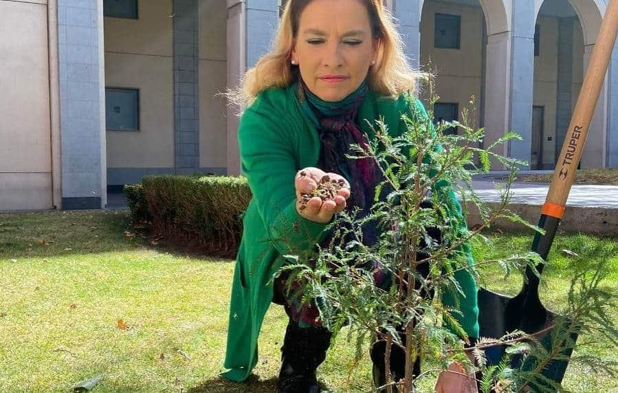 “No soy presidente del DIF ni funcionaria pública” asegura Gutiérrez Müller ante críticas