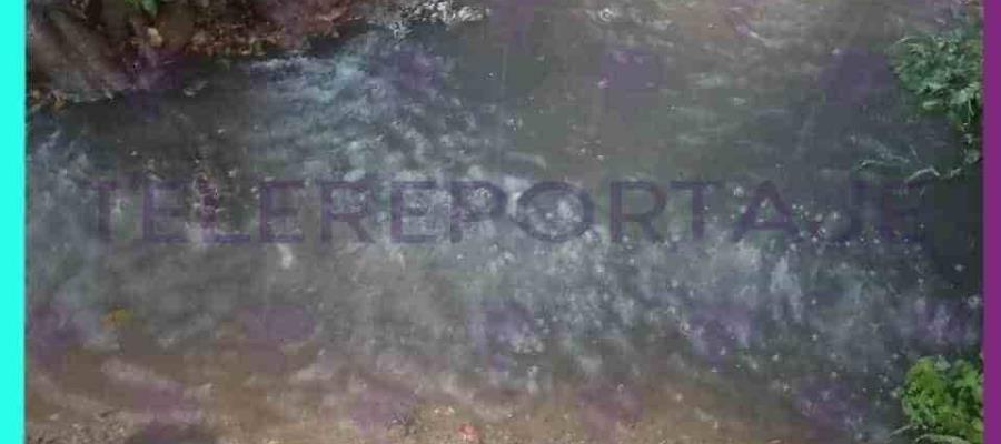 Piden productores del campo respuestas y atención, tras lluvia con “contaminante” en Plátano y Cacao