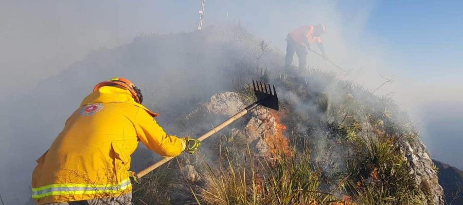 Incendio forestal en el Pico Norte del Cerro de la Silla es controlado