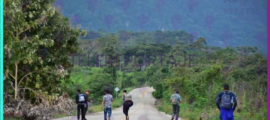 Cae 60.5% número de tabasqueños repatriados de EE. UU. en primer semestre de 2021 Cae 60.5% número de tabasqueños repatriados de EE. UU. en primer semestre de 2021