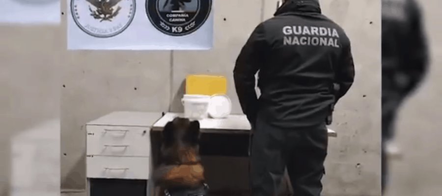 Asegura Guardia Nacional 4 kilos de metanfetaminas ocultos en crema de coco, en aeropuerto de Querétaro Asegura Guardia Nacional 4 kilos de metanfetaminas ocultos en crema de coco, en aeropuerto de Querétaro