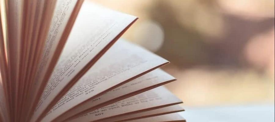 20% de tabasqueños cuentan con escolaridad de nivel superior; analfabetismo bajó a 5.1: INEGI